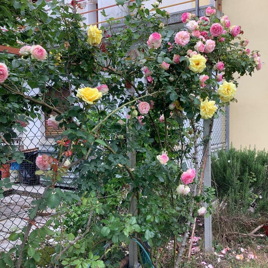 Ai Quattro Soli Privano Bagian luar foto